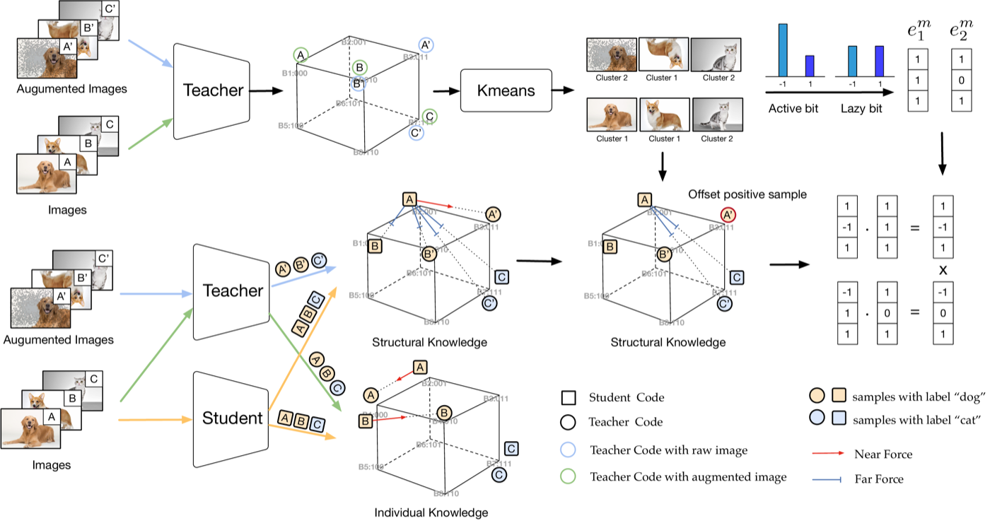 BRCD framework illustrating structural and individual retrieval knowledge distillation